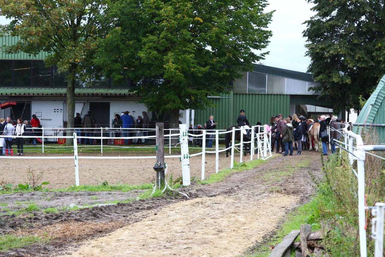 Bild 737 - WBO-Turnier am 18.9.11